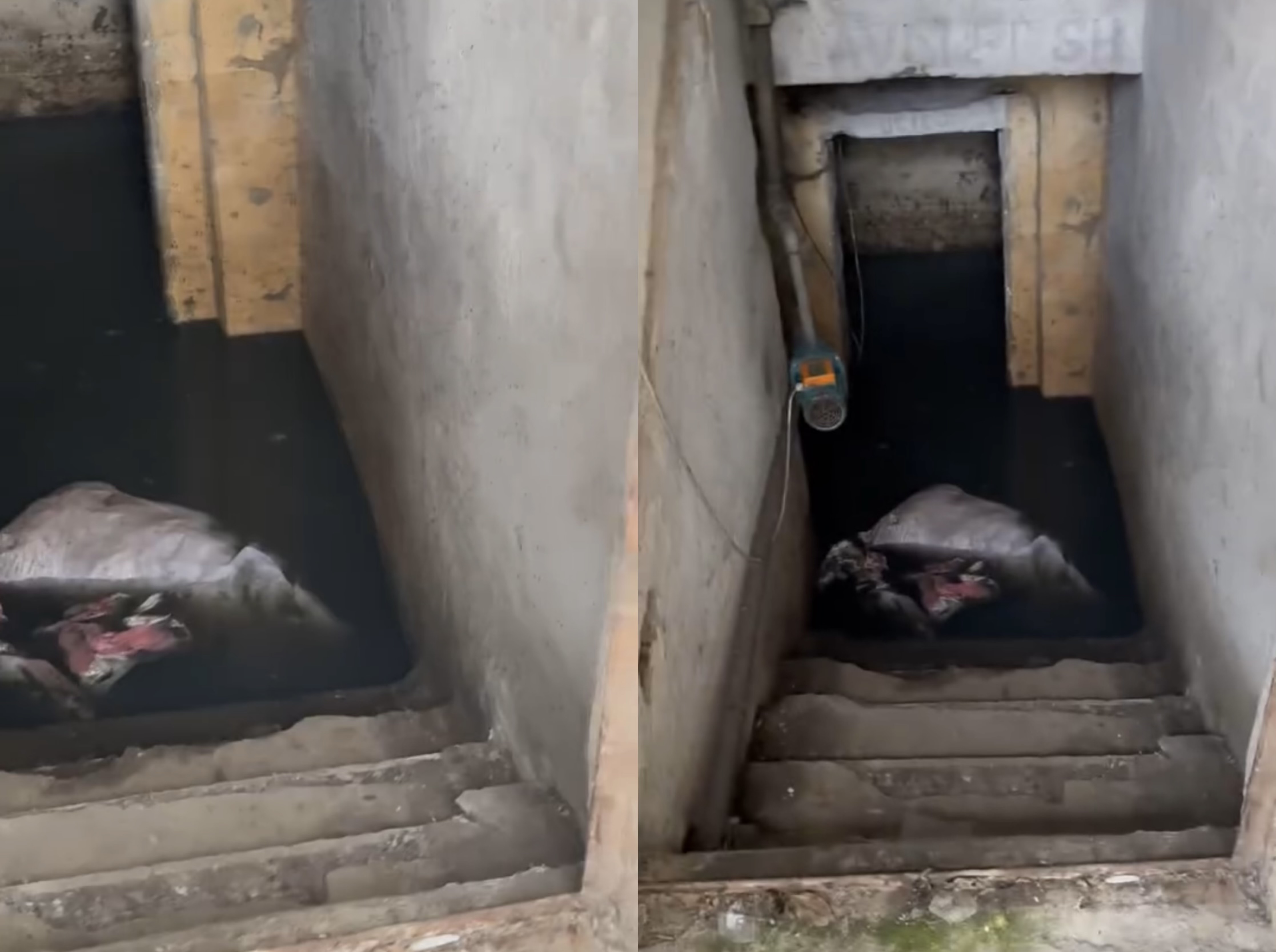 Bllokohen pusetat e ujërave të zeza ne Tiranë, banorët: Ujësjellësi vjen po s’ka mjete pune