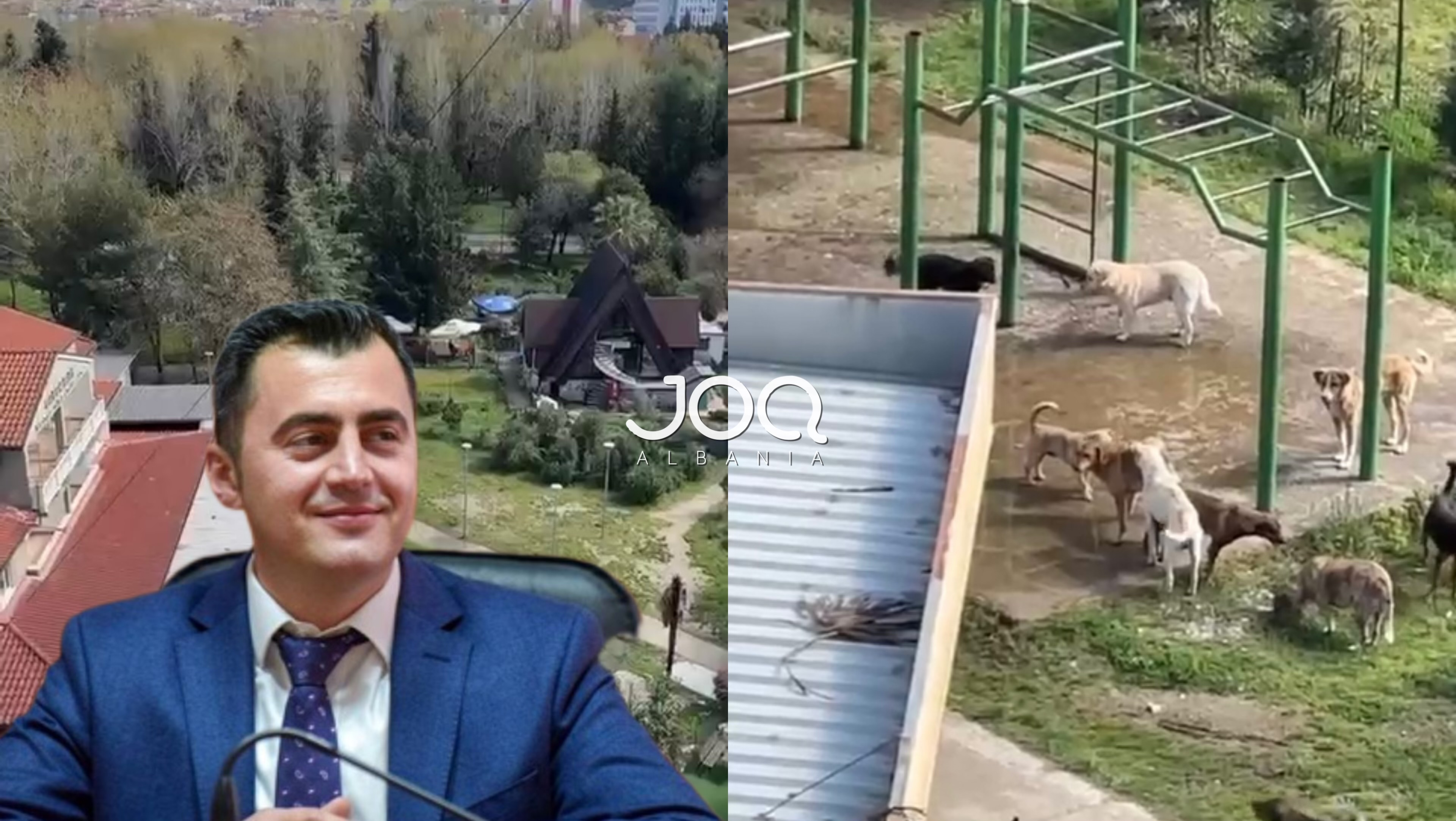 Elbasan/ Qentë endacakë të lirë në park, çdo ditë kafshojnë fëmijë e kalimtarë