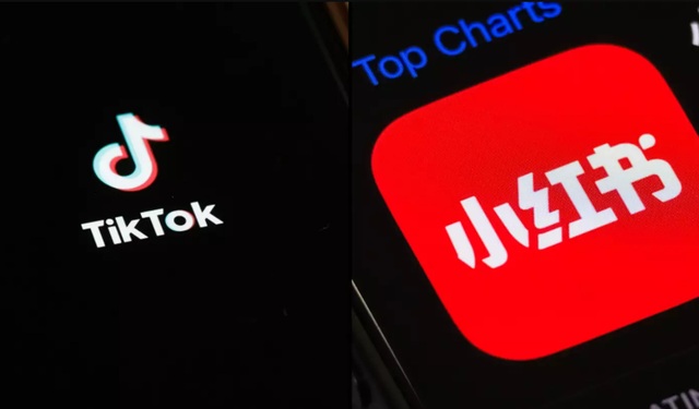 Qeveria vendos të mbyllë platformën TikTok, kritikët: Censurë informacioni para zgjedhjeve