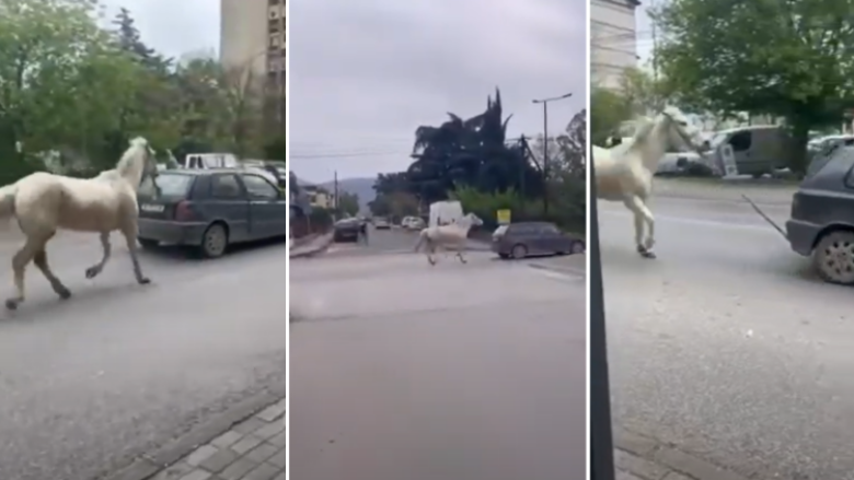 Lidhi kalin pas makinës nëpër rrugët e Shkupit, policia identifikon shoferin