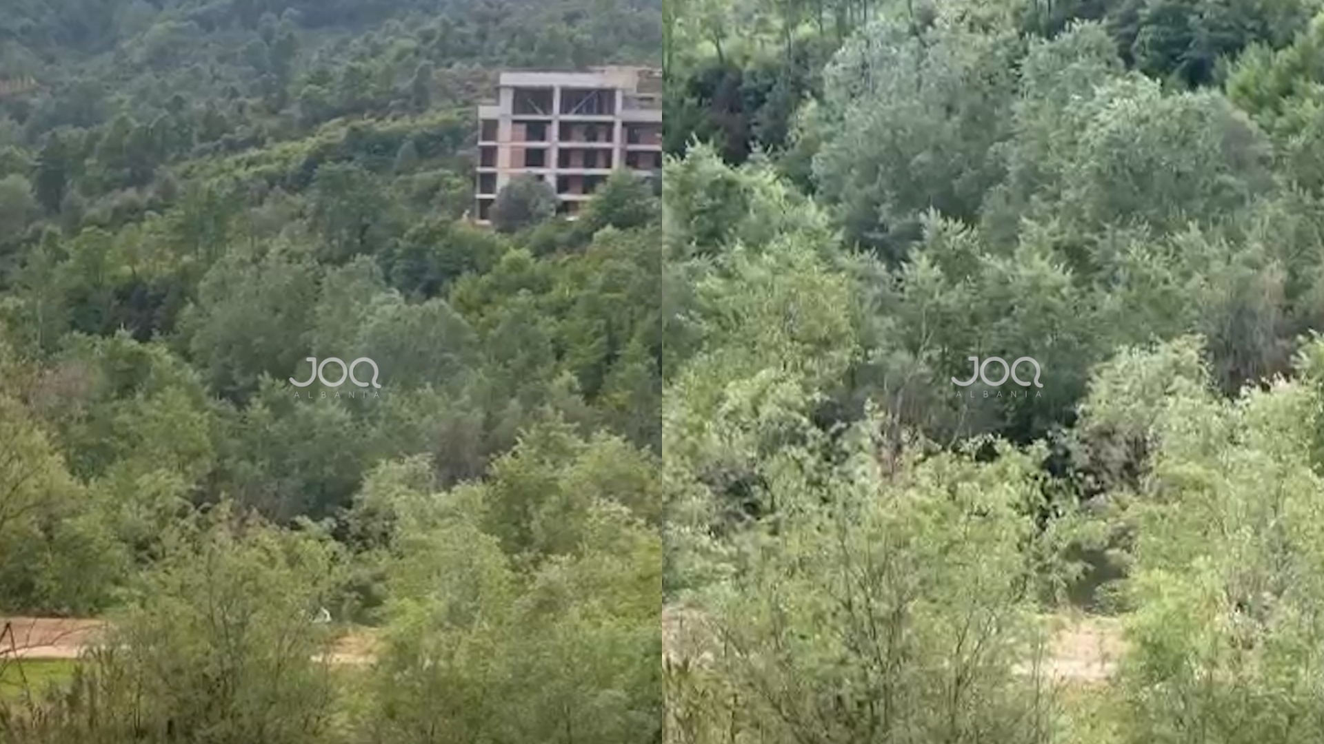 “Pasi prenë pemët, pylli te Liqeni i Thatë po shtrohet me zhavorr”, ankohen banorët