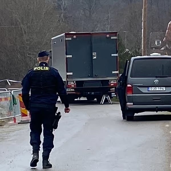 15-vjeçarin shqiptar e rrëmbejnë në Suedi, u nxorr në pritë nga shoqja e tij