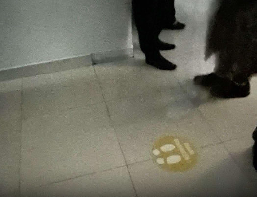 Dispanceria në qendrën spitalore pa drita prej disa orësh, mungon gjeneratori