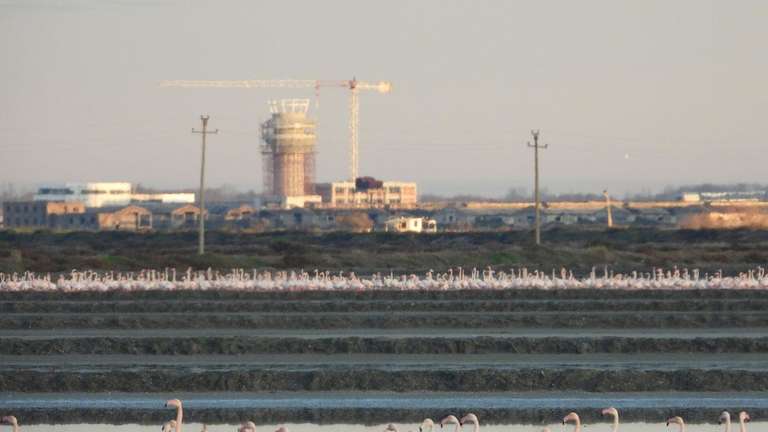Aeroporti i Mynihut tërhiqet nga projekti i ndërtimit të aeroportit të Vlorës