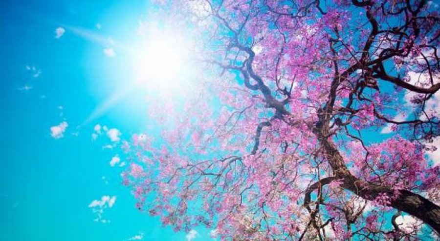 Parashikimi i motit për sot, temperatura deri në 26 gradë Celsius