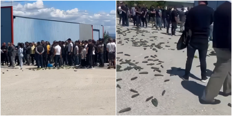 Fermerët e Fierit në protestë: Pikat e grumbullimit po na falimentojnë, rrisin çmimet sipas qejfit