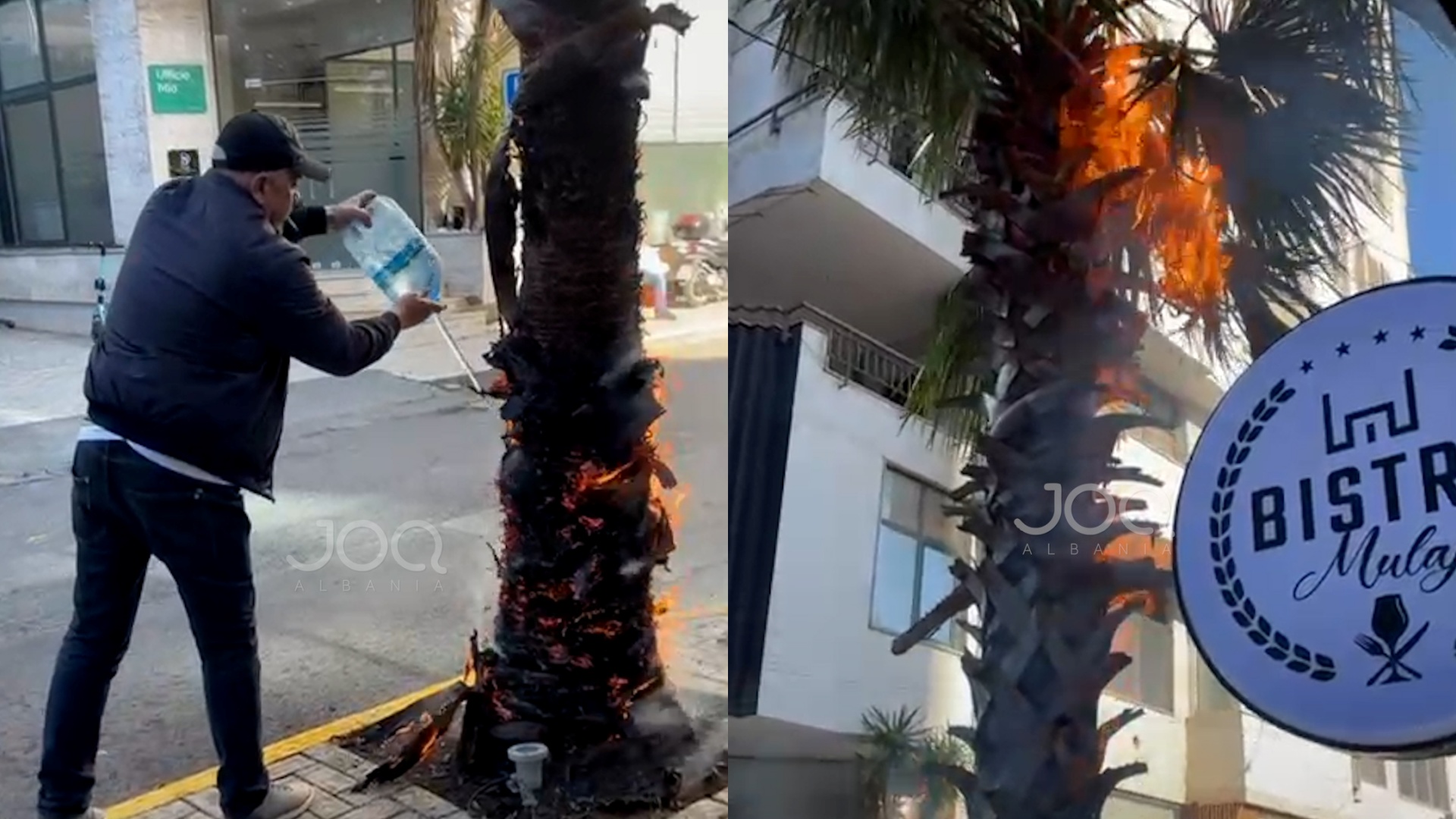 Cigarja e ndezur i ve zjarrin pemës në Tiranë, qytetarët e fikin me kova