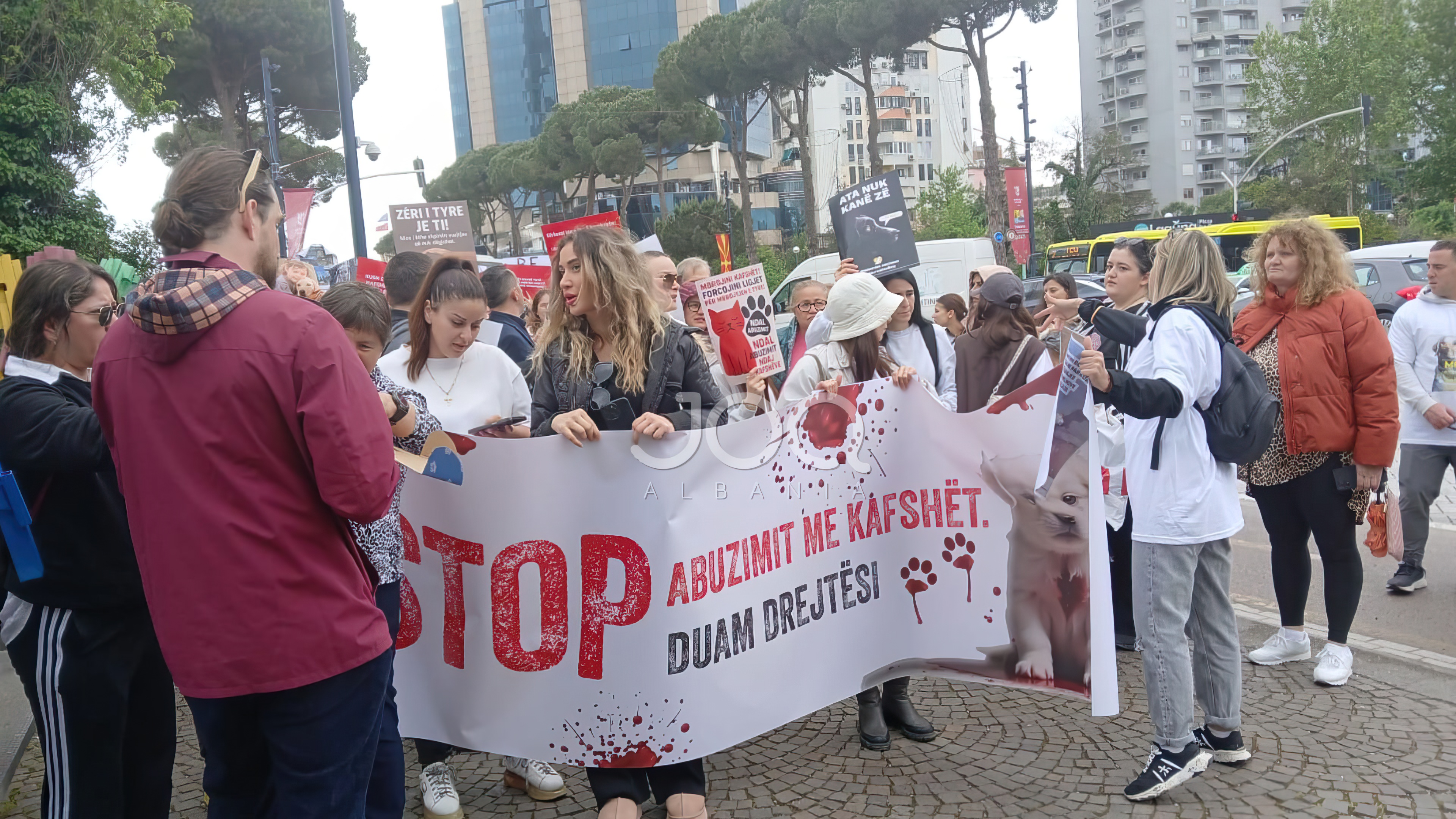 Ata nuk kanë zë! Dashuria për kafshët bashkon njerëzit në protestë