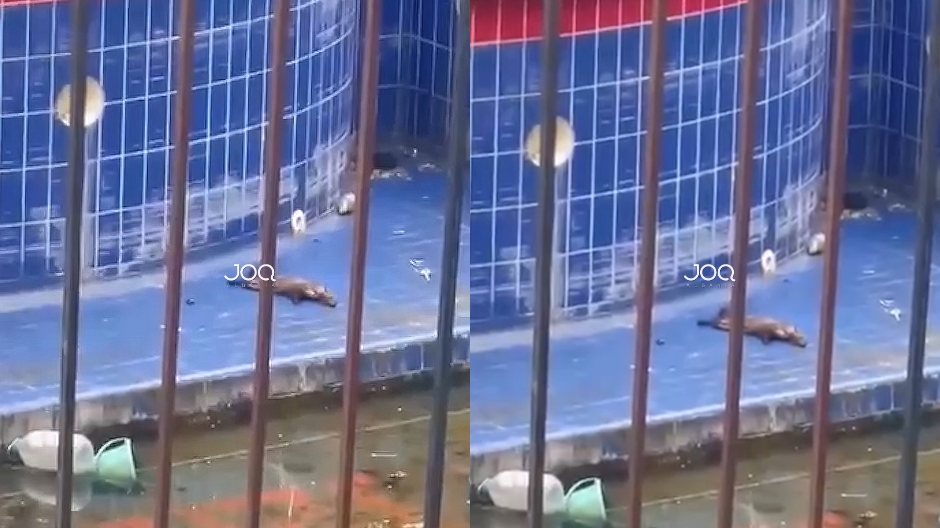 Ngordh kunadhja në Shkozë? Zjarrfikësja nuk i ofroi ndihmë