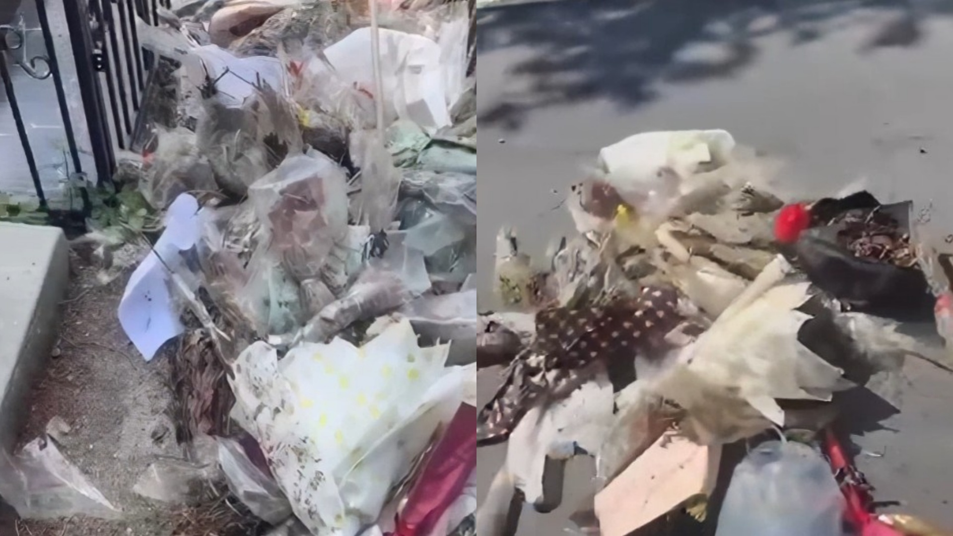 Varrezat në Vlorë të mbuluara nga plehrat, qytetarja i merr dhe i hedh në rrugë