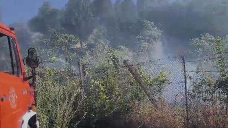 Zjarr në Lazarat  disa banesa rrezikojnë të digjen