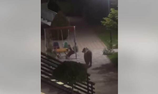 Ariu shfaqet në oborrin e një shtëpie në Mushtisht të Suharekës