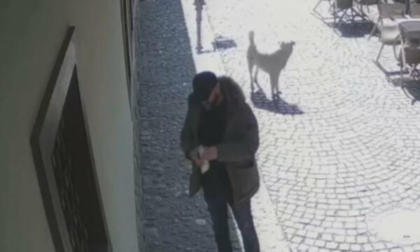 Grisi librin e shenjtë të Kuranit, Prokuroria Speciale ngre aktakuzë dhe propozon trajtim psikiatrik
