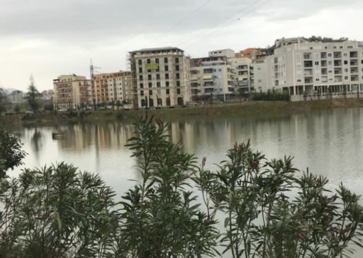 Vret veten me pistoletë 38-vjeçarja te Liqeni i Thatë 
