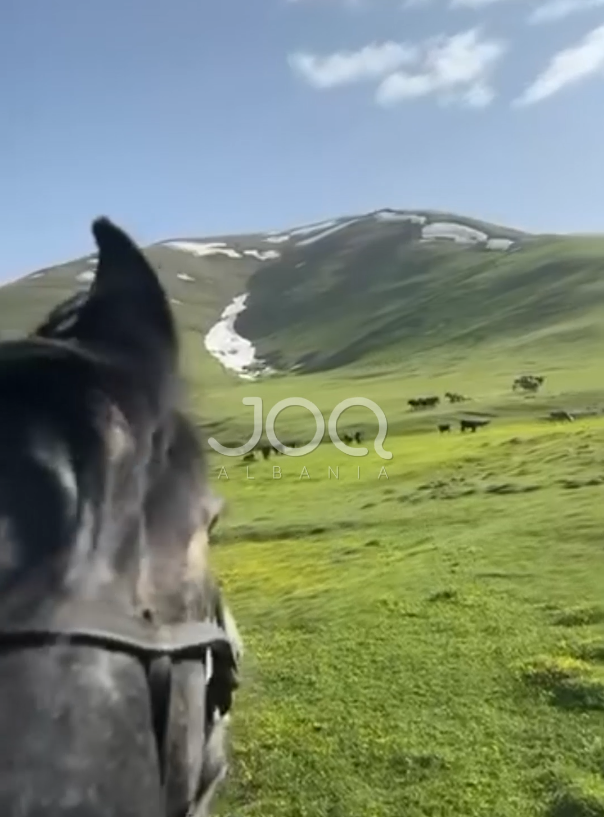 Pamje të mrekullueshme nga Shtegu i Ngjyrave në Kukës  një copë magji nga e bukura Shqipëri 