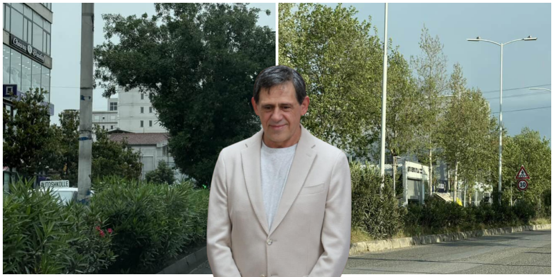 Rakipi ka harruar t’i presë, pemët dhe shkurret e Kamzës rrezik për qytetarët