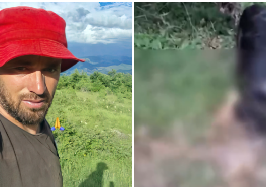 Qeni shqyen macen për së gjalli, Aureli poston videon për klikime 