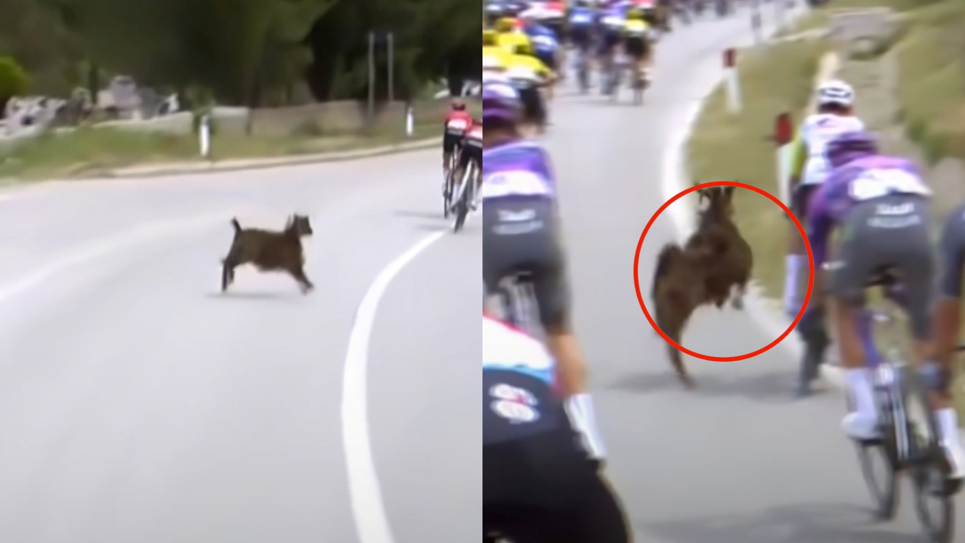 Dhia përplaset me çiklistët e ‘Giro d’Italia’ në Vlorë