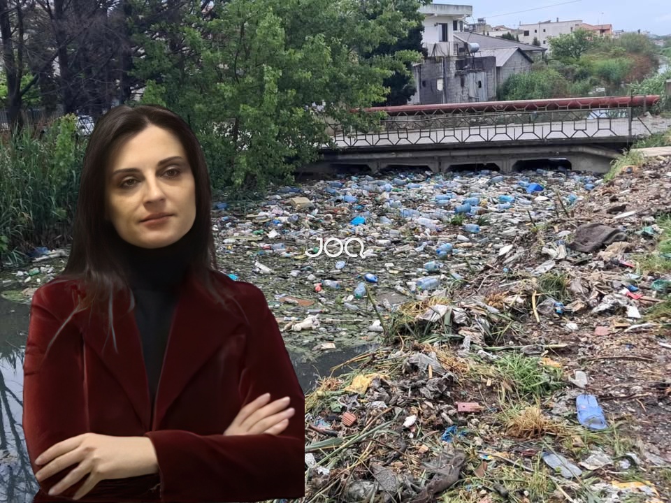“Arapaj është mbuluar nga plehrat! Kështu do futemi në BE ne?”