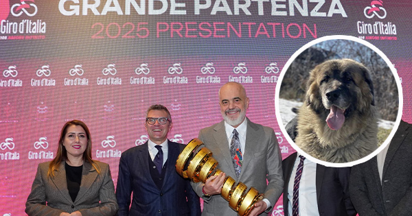 Zhduken qentë në të gjitha akset ku do kalojë “Giro D’Italia”, aktivistët denoncojnë helmime masive
