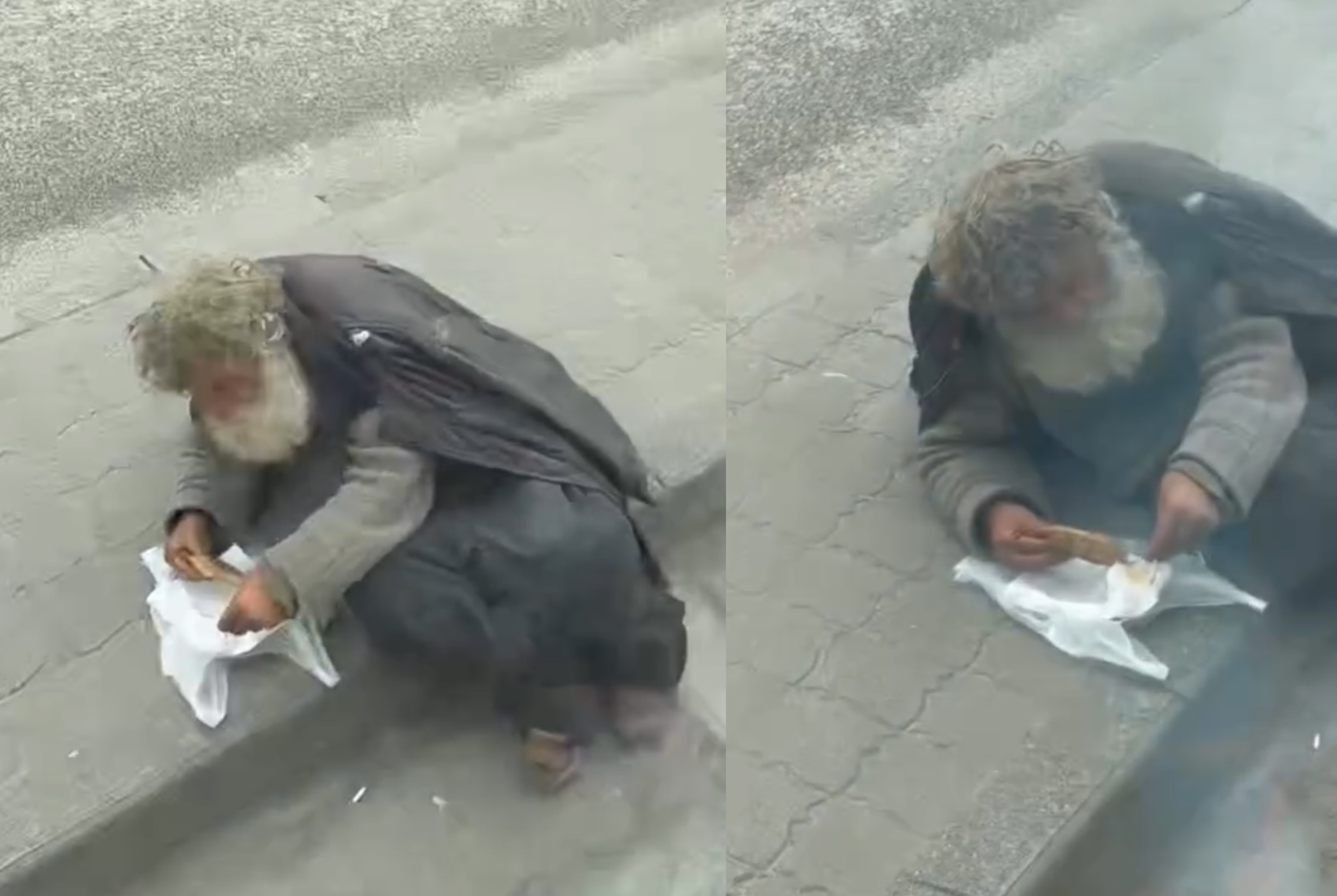 I moshuari në Elbasan në gjendje të mjerueshme! Ha dhe fle në rrugë