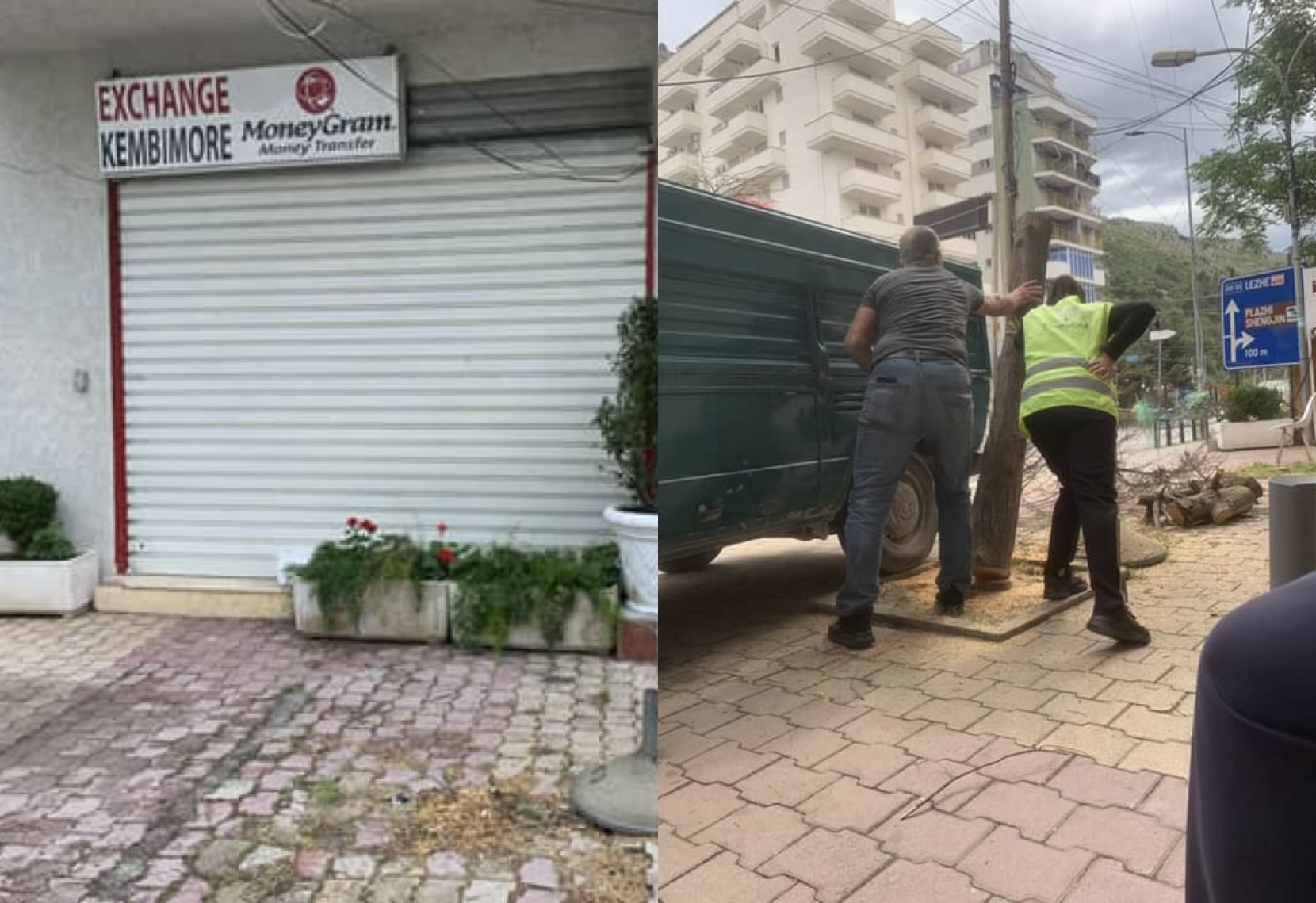 Qytetarët denoncojnë skandalin në Shëngjin  Pemët priten për të ekspozuar pikën e këmbimit