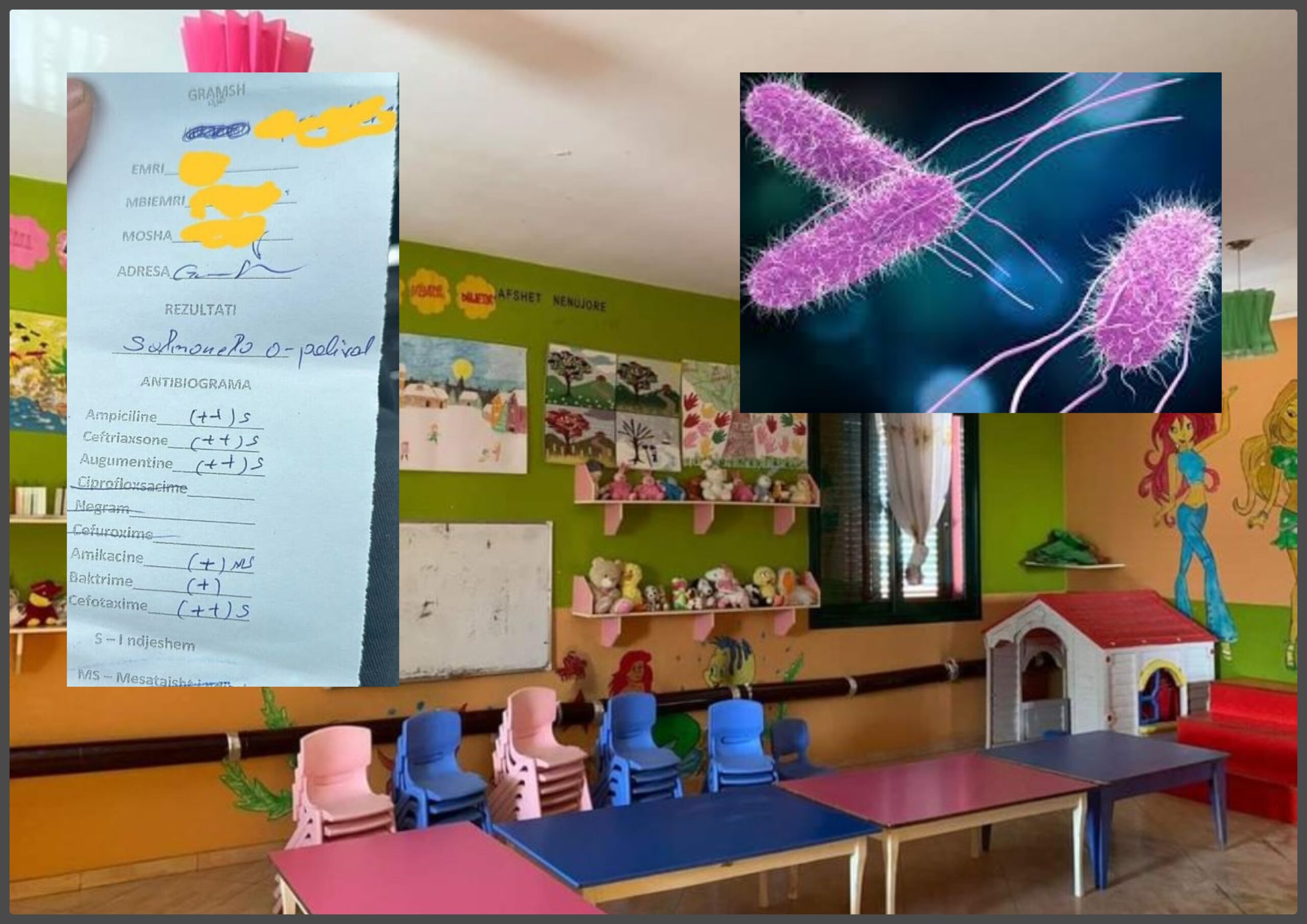  Nelsa ShPK   kompania me të shkuar kriminale që helmoi fëmijët në Gramsh