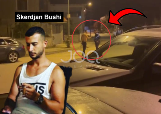 Terrorizon një fshat të tërë, plagos me thikë bashkëfshatarin, ofendon rëndë policinë dhe lihet i lirë, kush është fieraku që s'pyet për askënd?! 