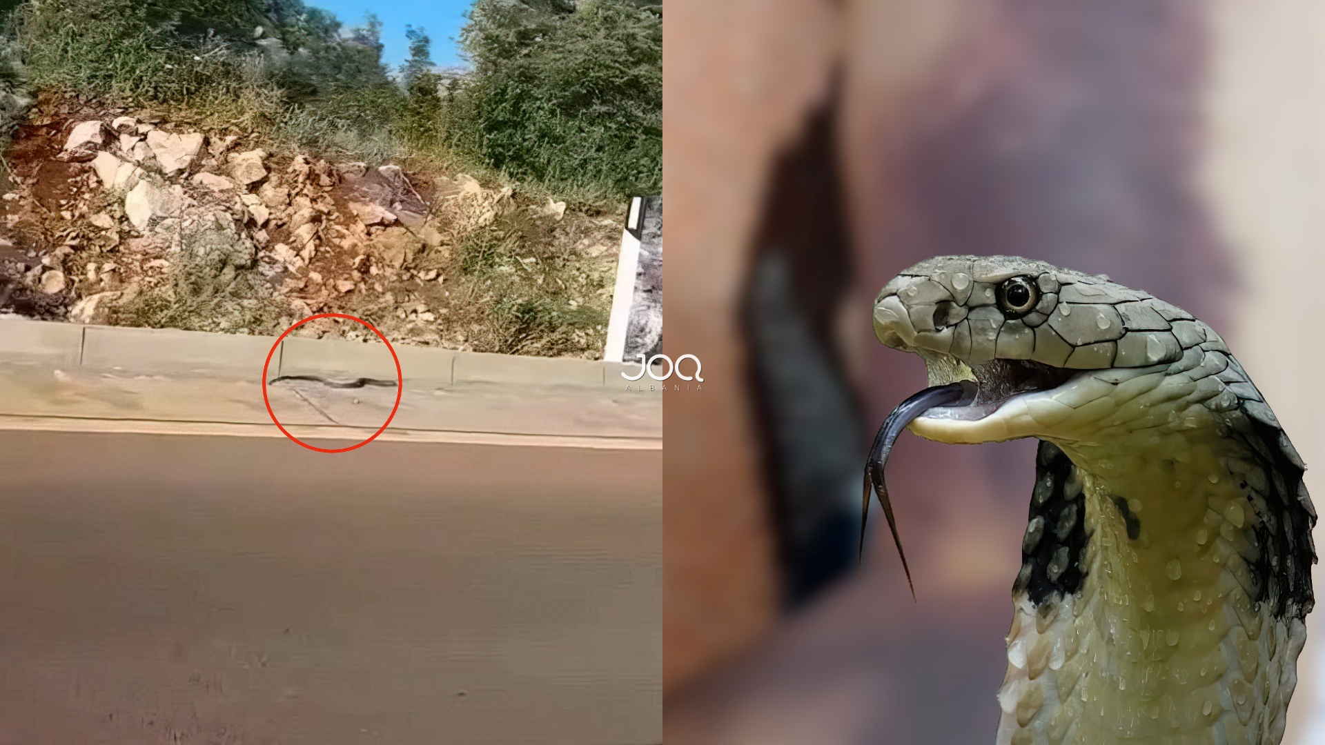 Qytetarja reagon pas videos së gjarprinjëve në Velipojë: Mua më pickuan