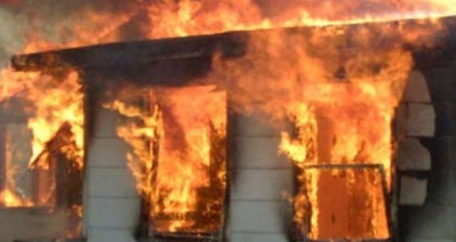 Zjarri shkrumbon stallën në Fushë-Gjormë, ngordhin 450 derra