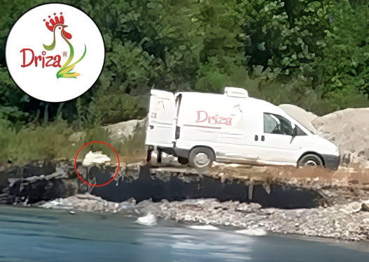 Reagon Driza: Ishin mbeturina personale që i hodhi shoferi Klaudio Gjoka