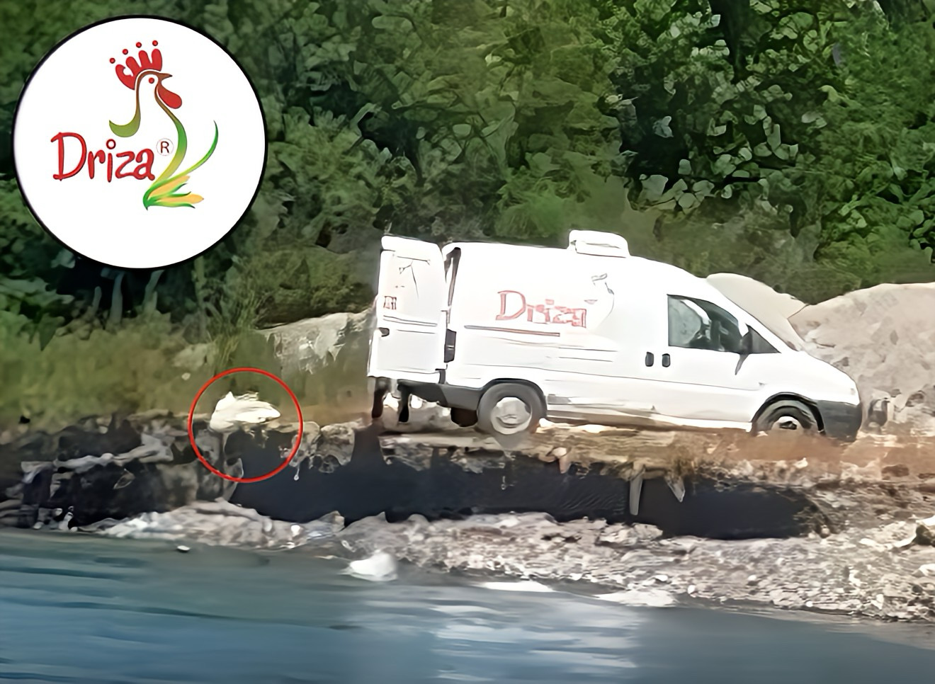 Reagon Driza: Ishin mbeturina personale që i hodhi shoferi Klaudio Gjoka