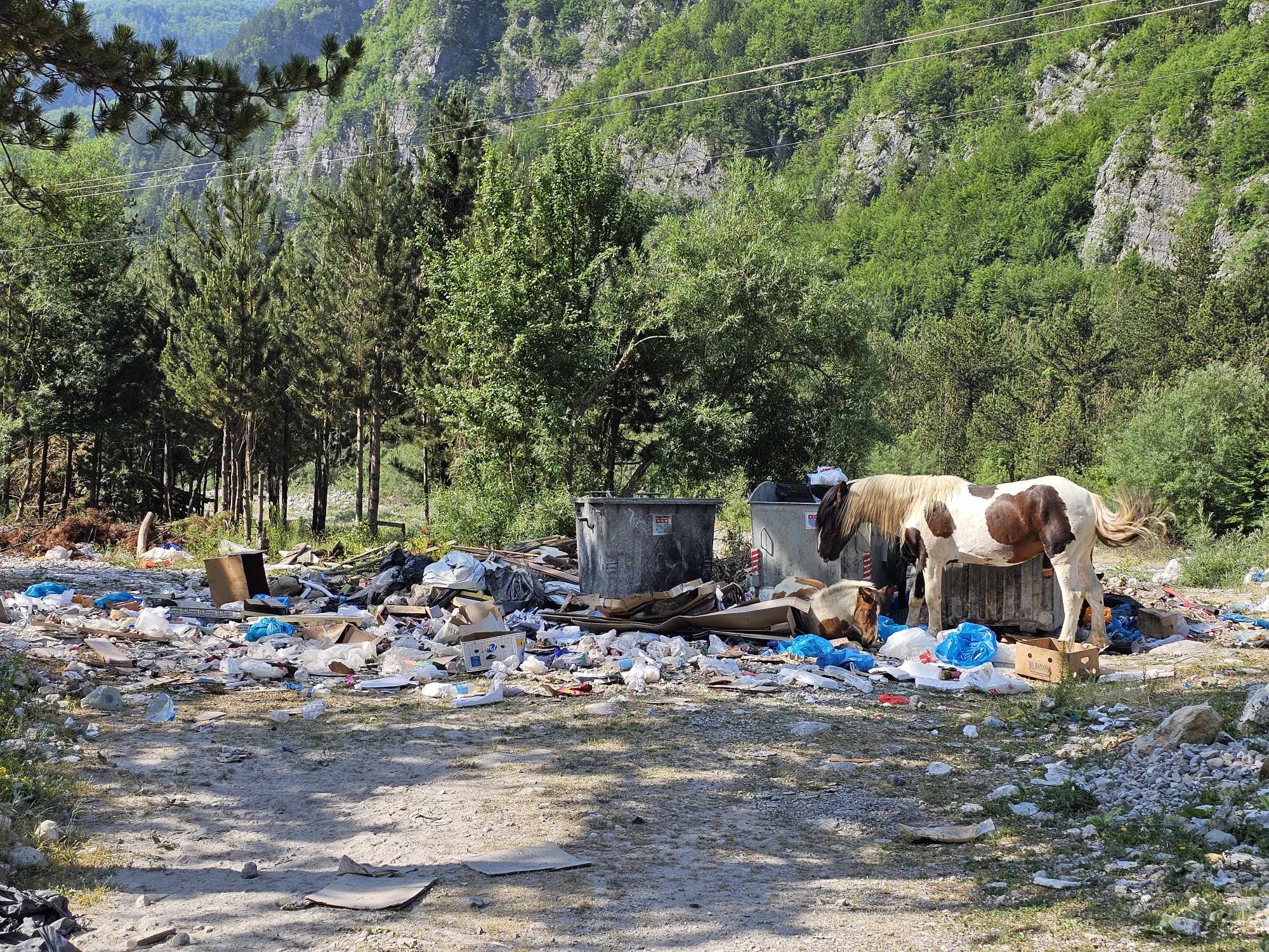 Thethi turistik pushtohet nga plehrat, shokohen turistët: E tmerrshme!