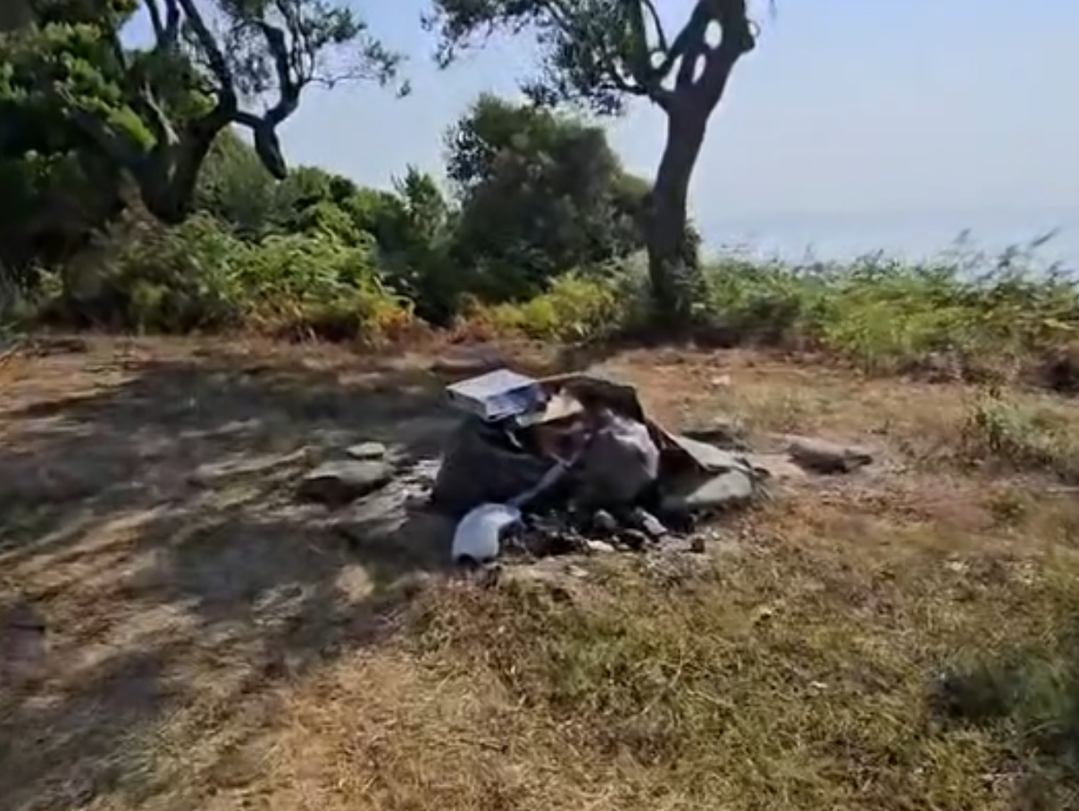 Buneci incenerator plehrash!