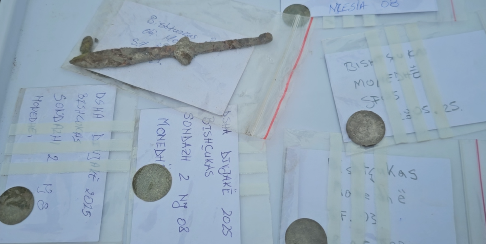 Zbulime të rralla arkeologjike nga periudha ilire në kodrat mes Divjakës e Lushnjës