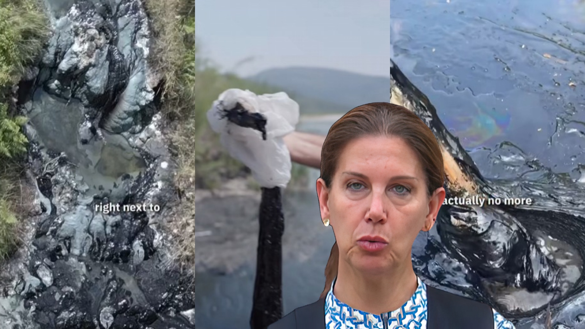 Lumi Vjosa kthehet në lumë nafte, ndotja po ngordh gjallesat dhe shkatërron biodiversitetin