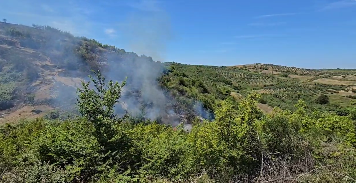 Zjarr në kodrat me ullishte të Zhupanit në Fier, alarmohen banorët, ndërhyrja e zjarrfikësve e vështirë