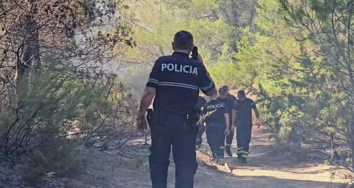 Zjarr i madh në pyllin me pisha të Darëzezës, rrezikohen banesat e bizneset