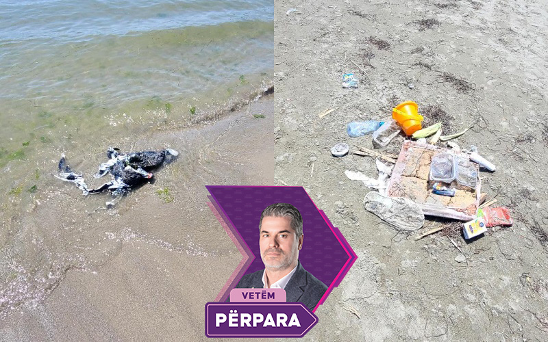 Plazhi i vjetër në Vlorë mbuluar nga plehrat, qytetarët kërkojnë ndërhyrje urgjente nga bashkia