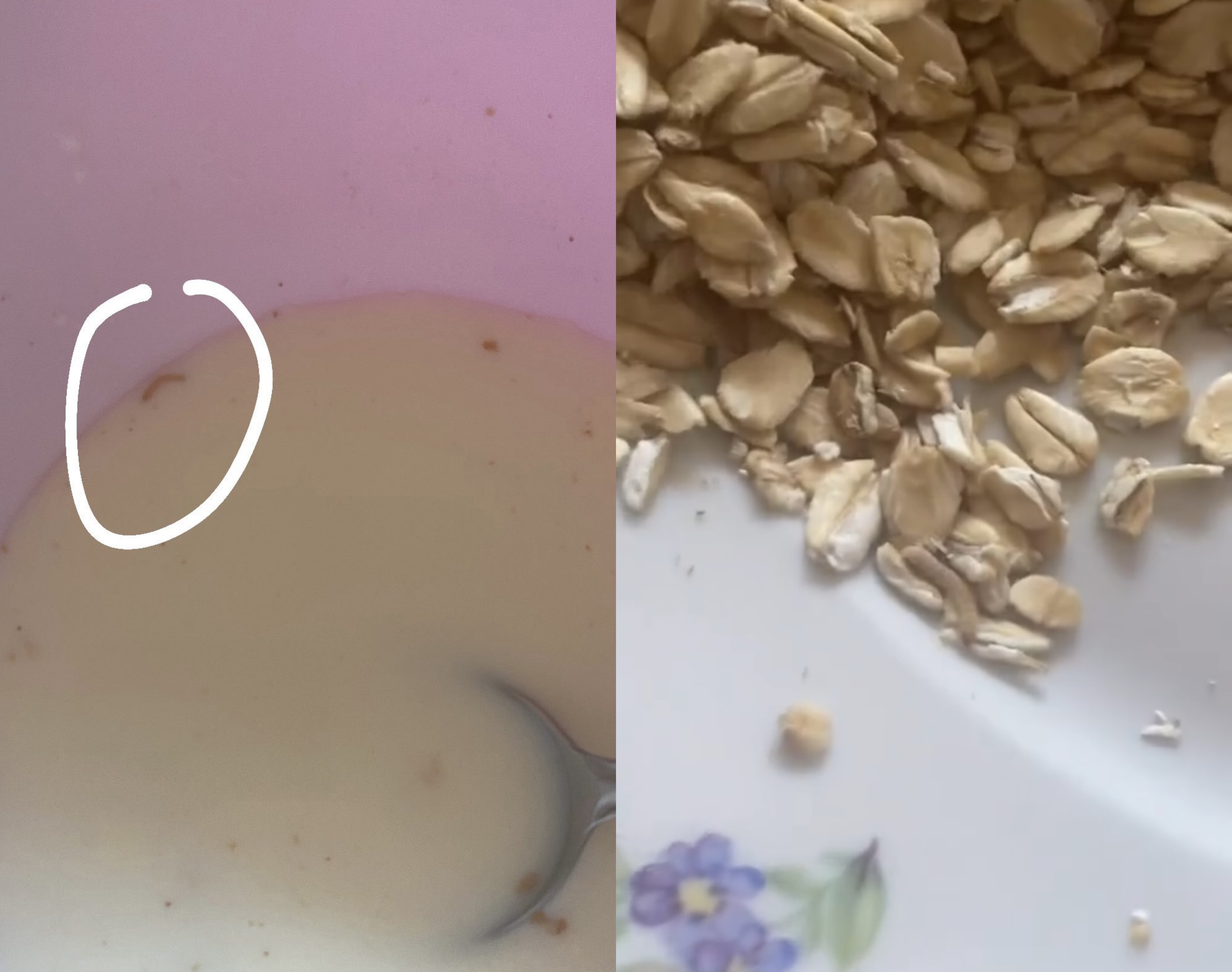 Do e konsumonte për mëngjes, qytetarit i del me krimba tërshëra nga “Teuta”