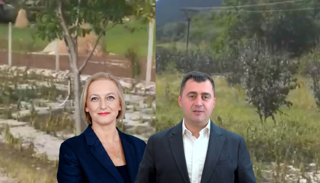 Breshëri shkatërron prodhimet e tokës, banorët e Qerretit kërkojnë dëmshpërblim: Na lanë fëmijët pa bukë
