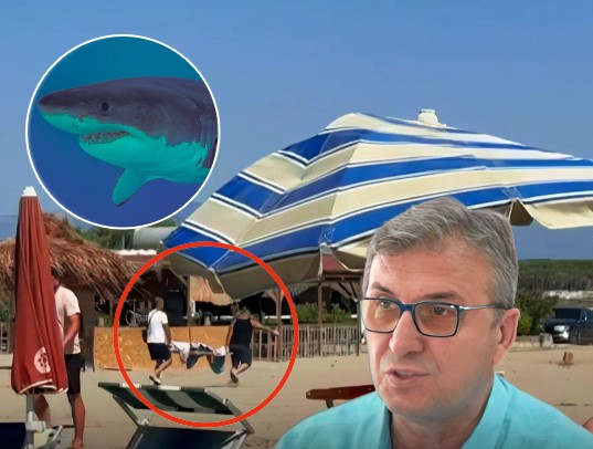 Qytetarët vdesin nëpër plazhe, Skënderi merret me peshkaqenët e Egjiptit