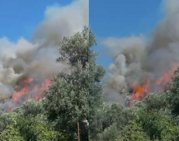 Zjarri masiv përfshin fshatin Hoshtimë në Vlorë, era e fortë përshpejton përhapjen e flakëve