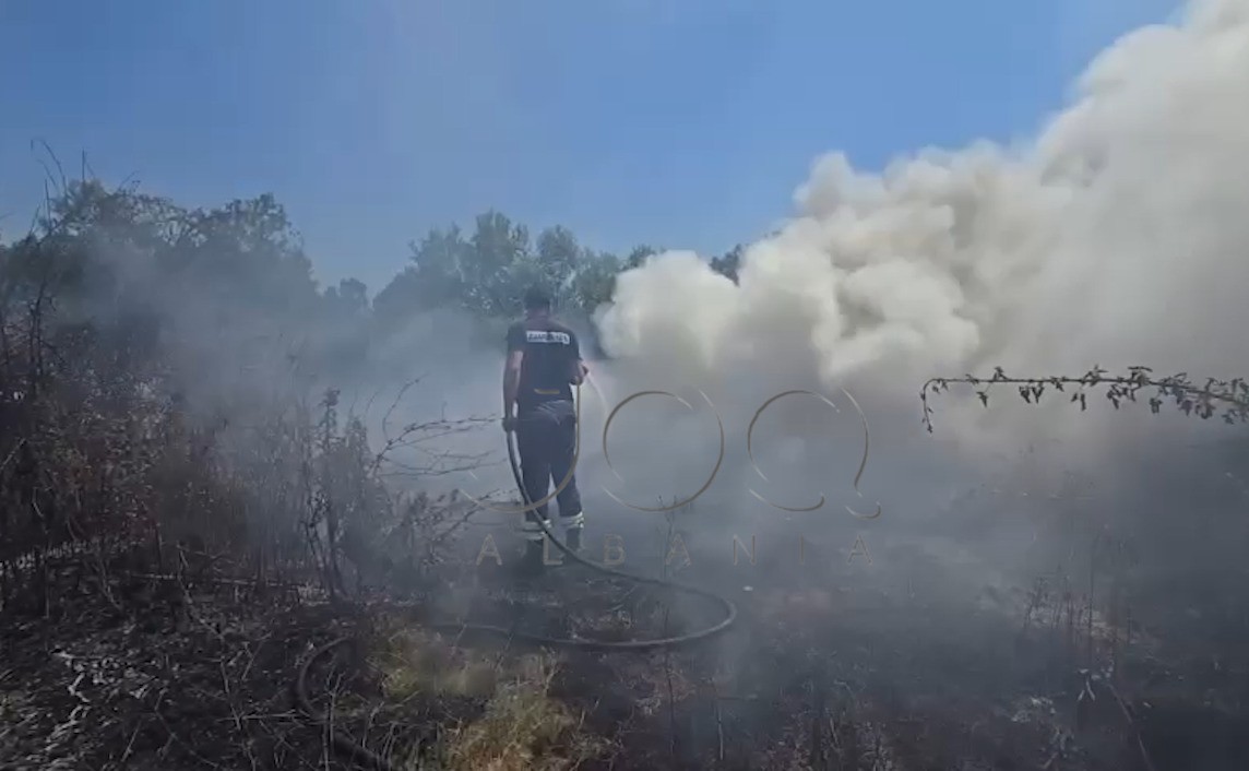 VIDEO/ Zjarri në toka të pashfrytëzuara pranë varrezave në Fier shqetëson banorët