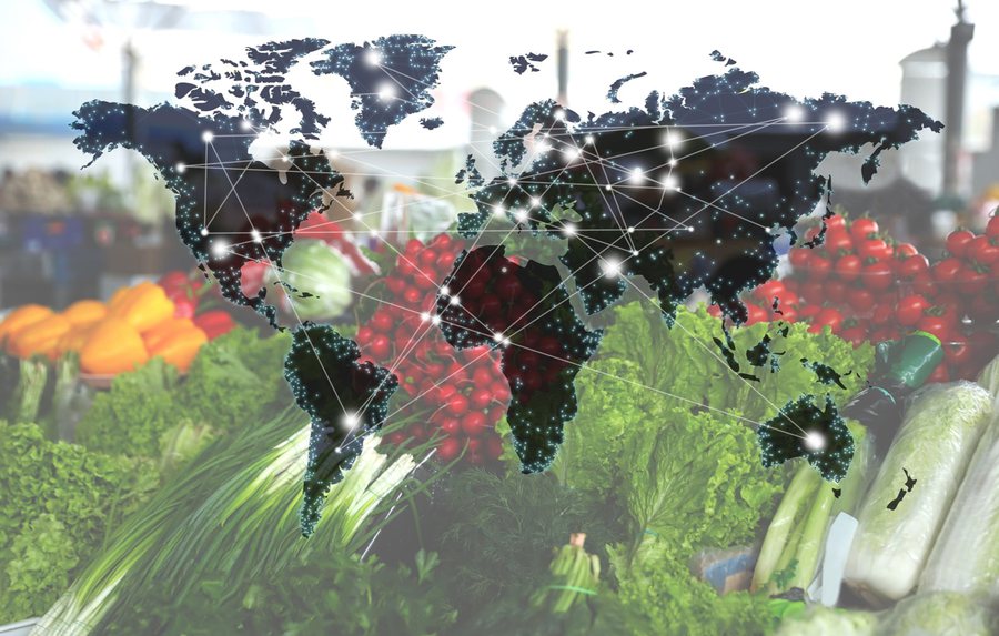 Turizmi rrit importet, Shqipëria varësi ushqimore ndaj produktit të jashtëm