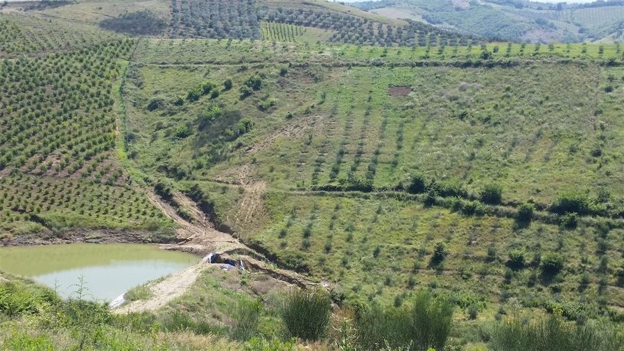 65-vjeçari humb jetën në ujërat e kanalit vaditës në Cërrik