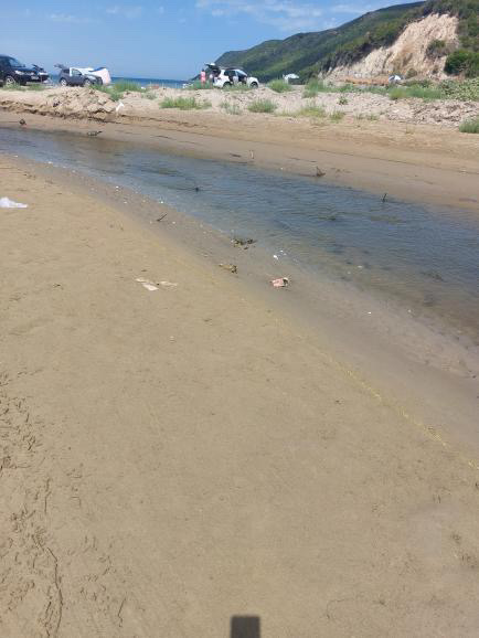 Rrezik epidemie te Gjiri i Lalëzit, ujërat e zeza derdhen direkt e në det