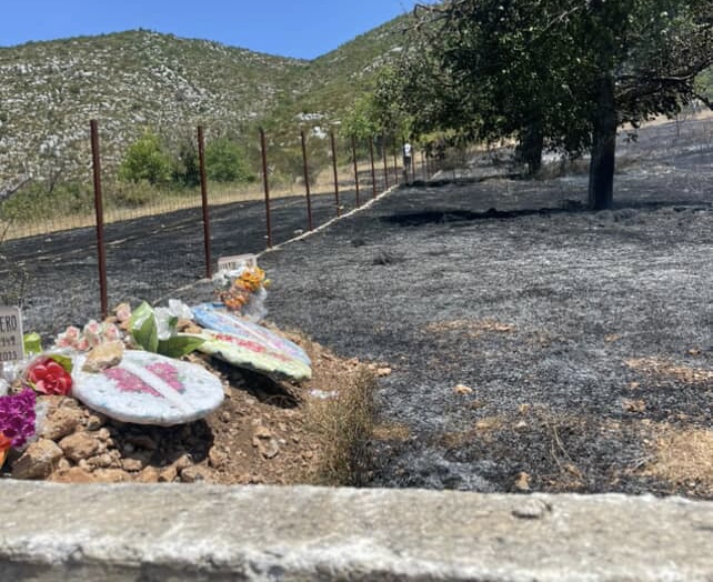 Përfshihen nga flakët varrezat në Devoll, zjarrfikësit ndërhyjnë në kohë