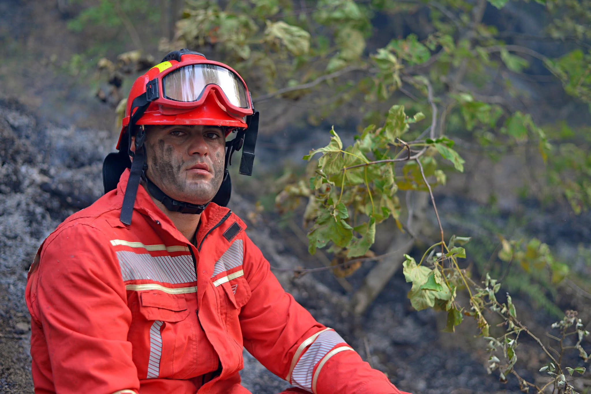 Gafa e FA dhe MB i vë flakën rrjetit!