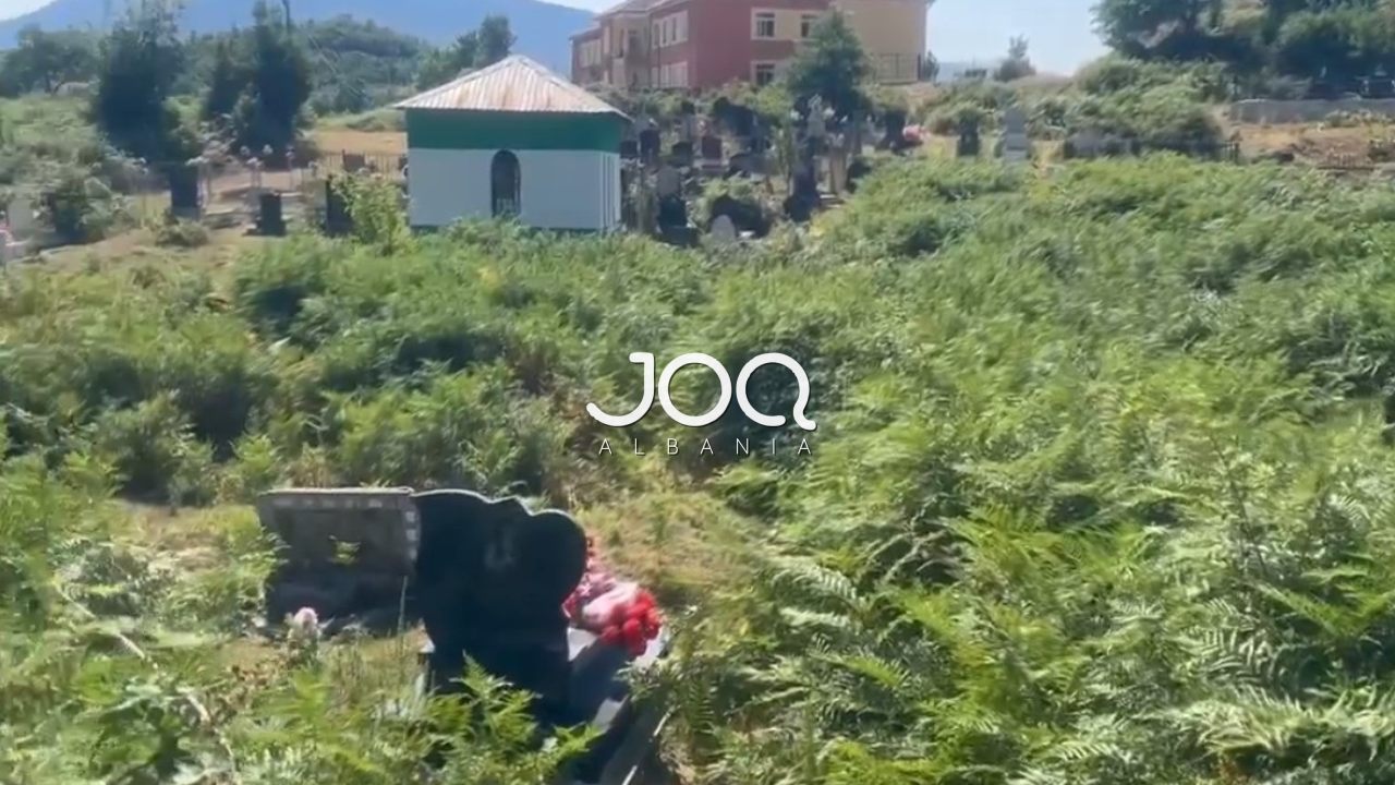 Varrezat në Margegaj në harresë të plotë nga Bashkia e Bajram Currit
